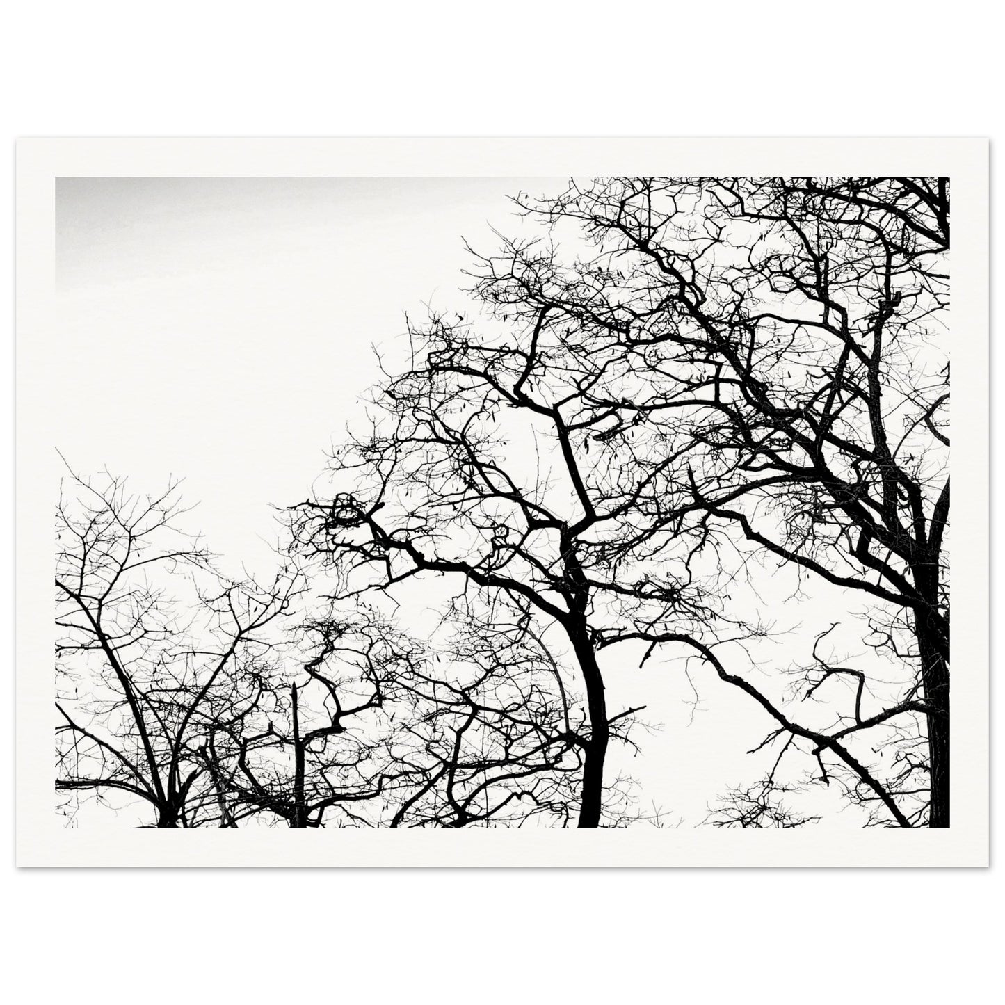 a65fd1b7-cfea-4e87-8373-e16b7e294a1c