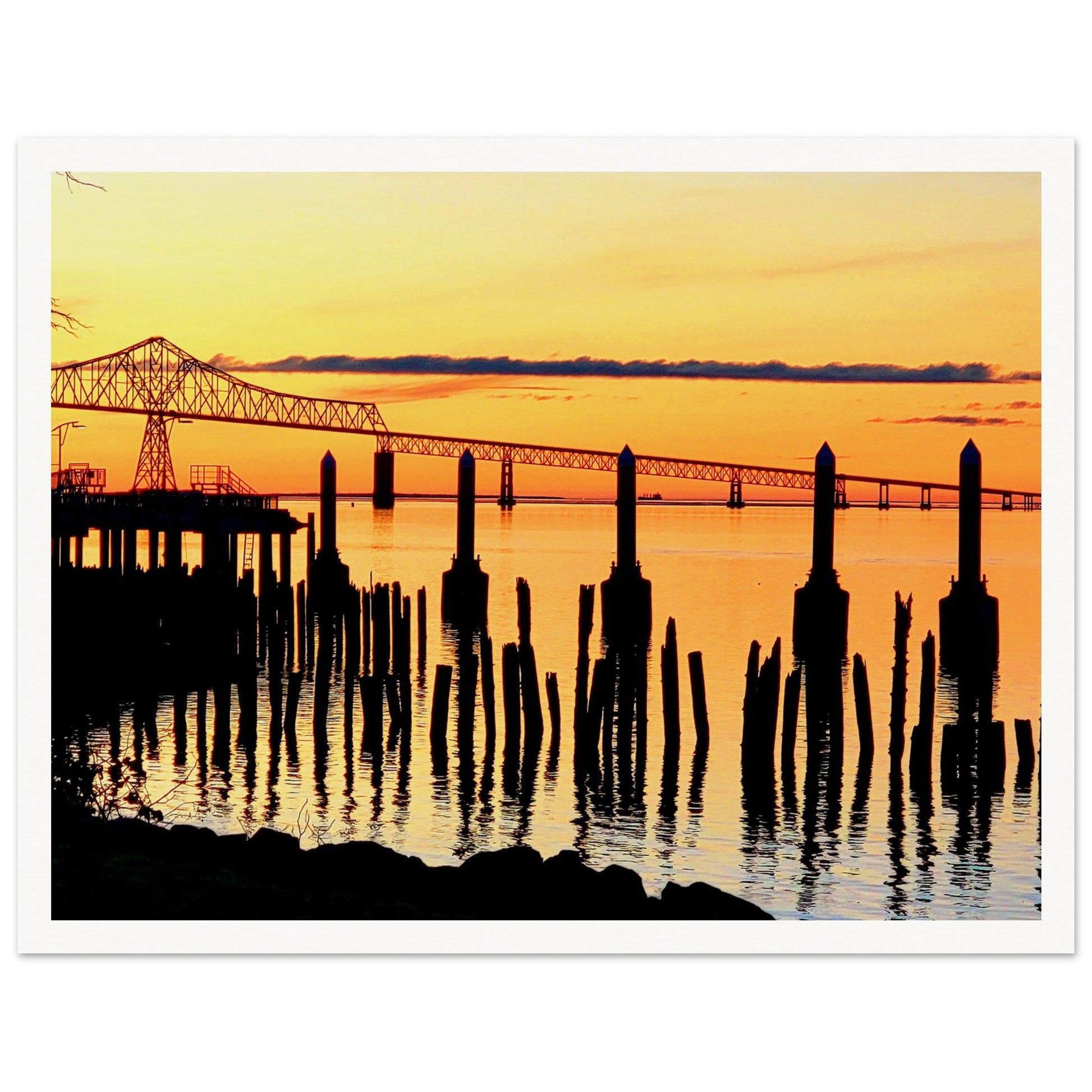 ac690999-fa35-47fb-8f6f-229c7590d75f