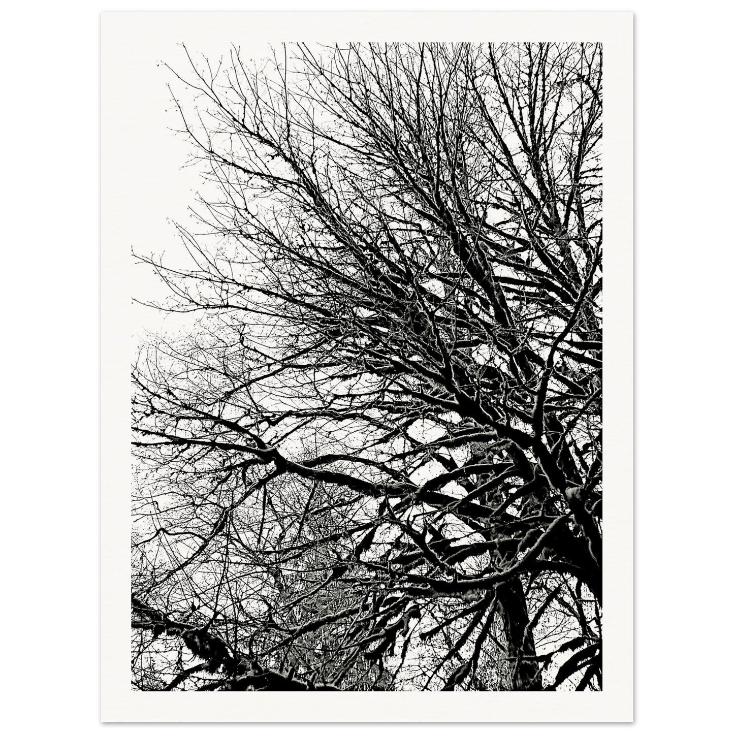 acc391ef-0835-4be8-91a2-bdb5fef3eec9