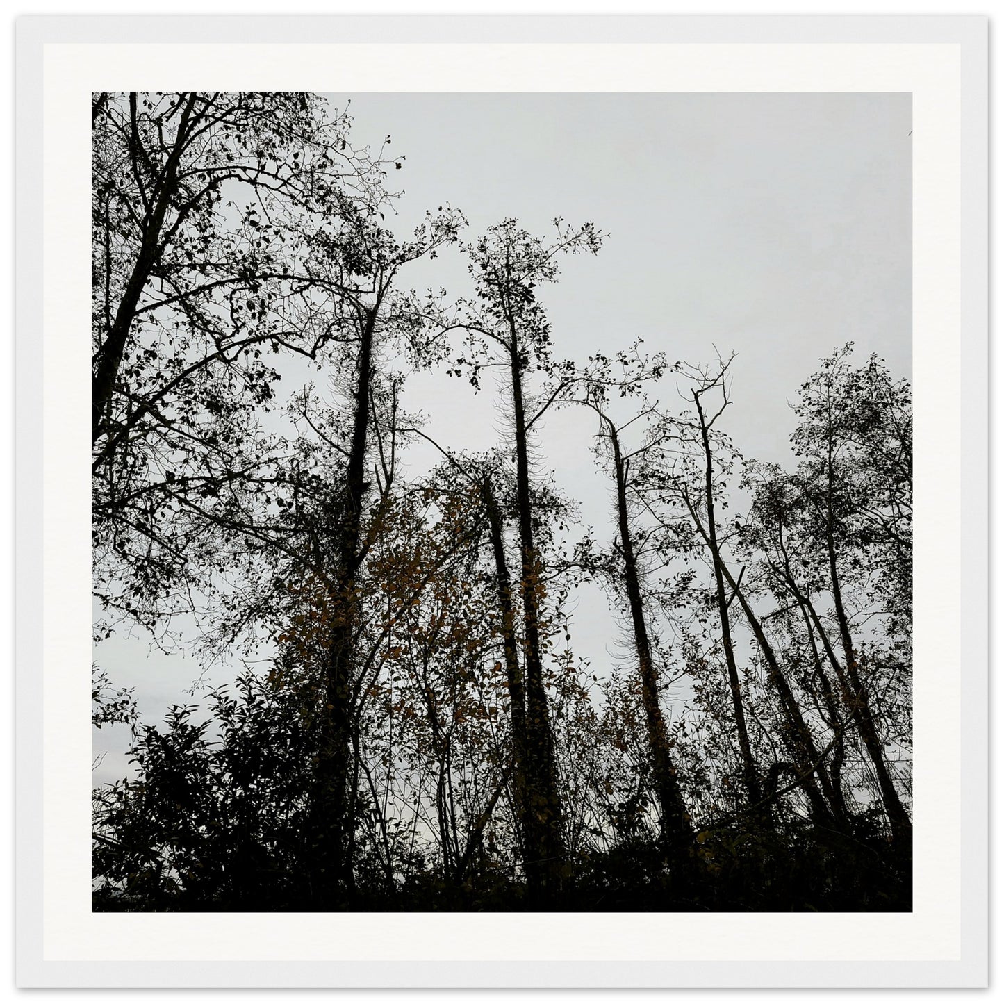 b23af96b-d07f-4c55-8966-20f2b8dfecd1