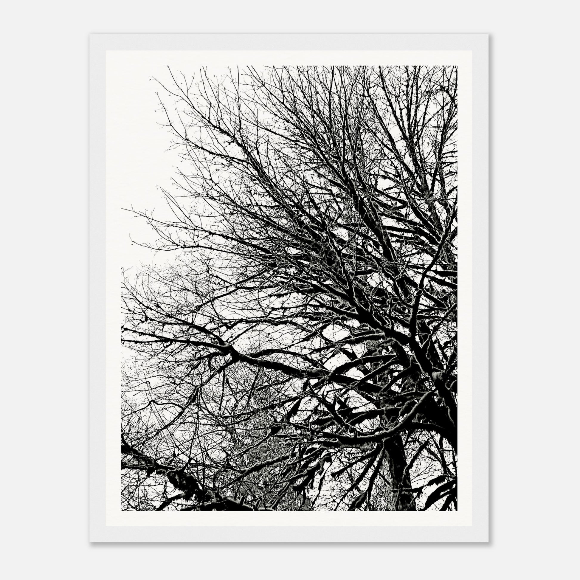 b3448971-f35c-4b5e-8b23-b1ea6243912e