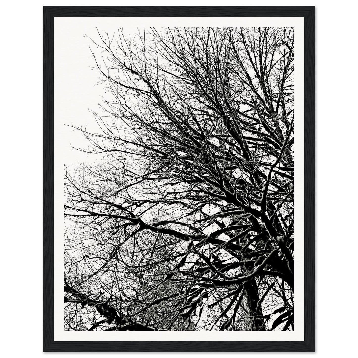 b74e4f48-1327-4320-8cd1-0545bc116f2b