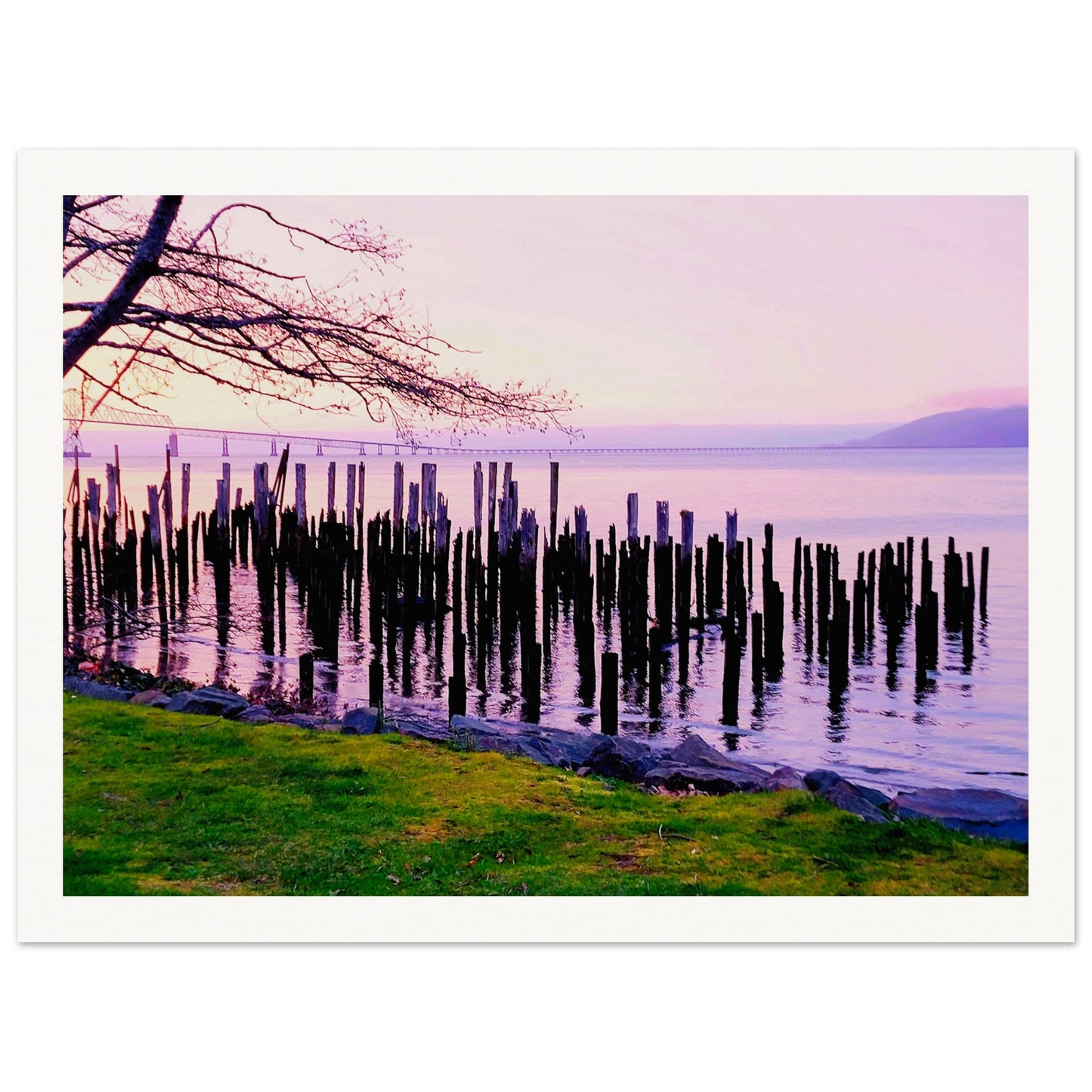 bb704c8d-2a38-47fc-b391-1752868125ac