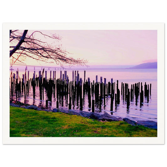 bb704c8d-2a38-47fc-b391-1752868125ac