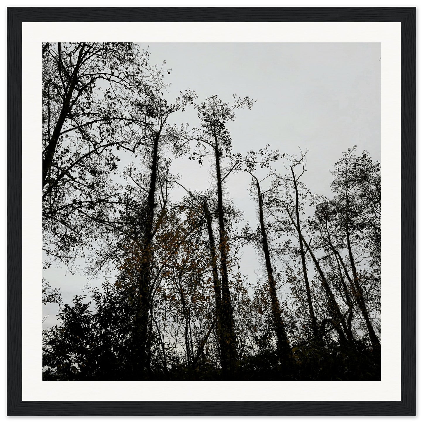 bd480850-2833-4243-92d2-602fdf05067d