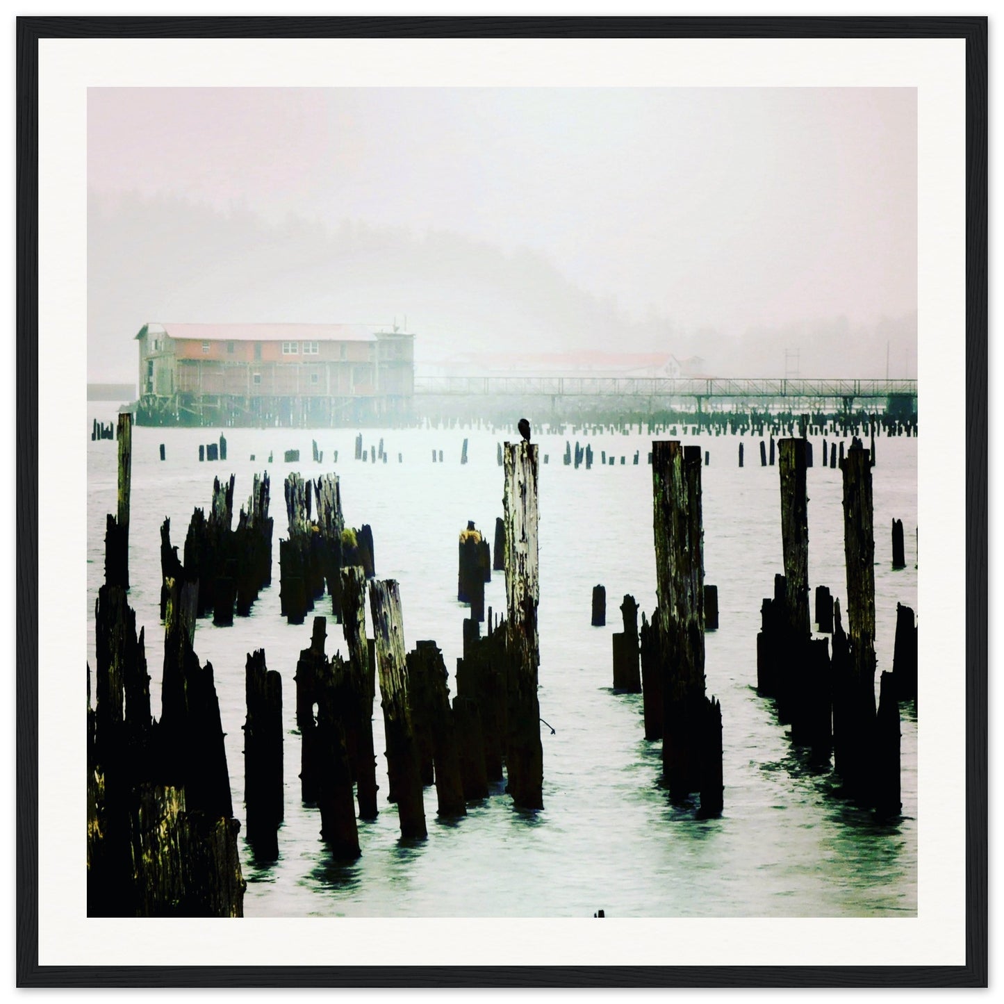 c4e9eac1-2e71-4305-9dc7-2ef68c366826