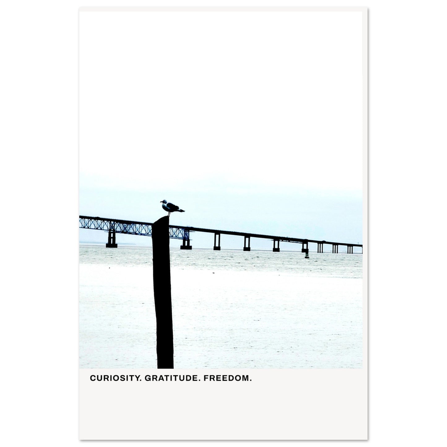 c6034119-3b26-4fc7-92cf-c35077e948cf