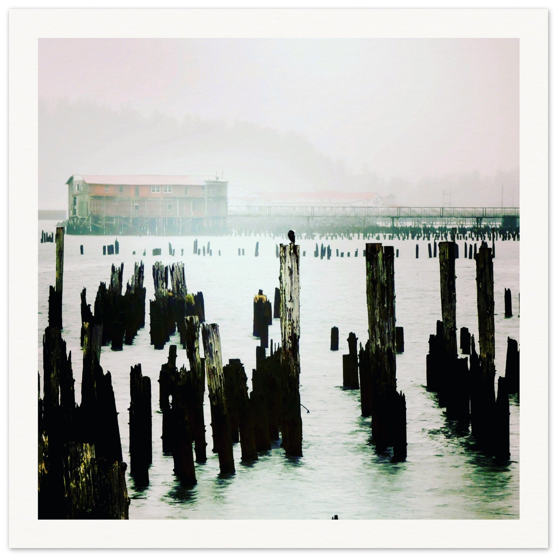 c7b1ccbc-d79b-436a-ae7e-744d18abcac2