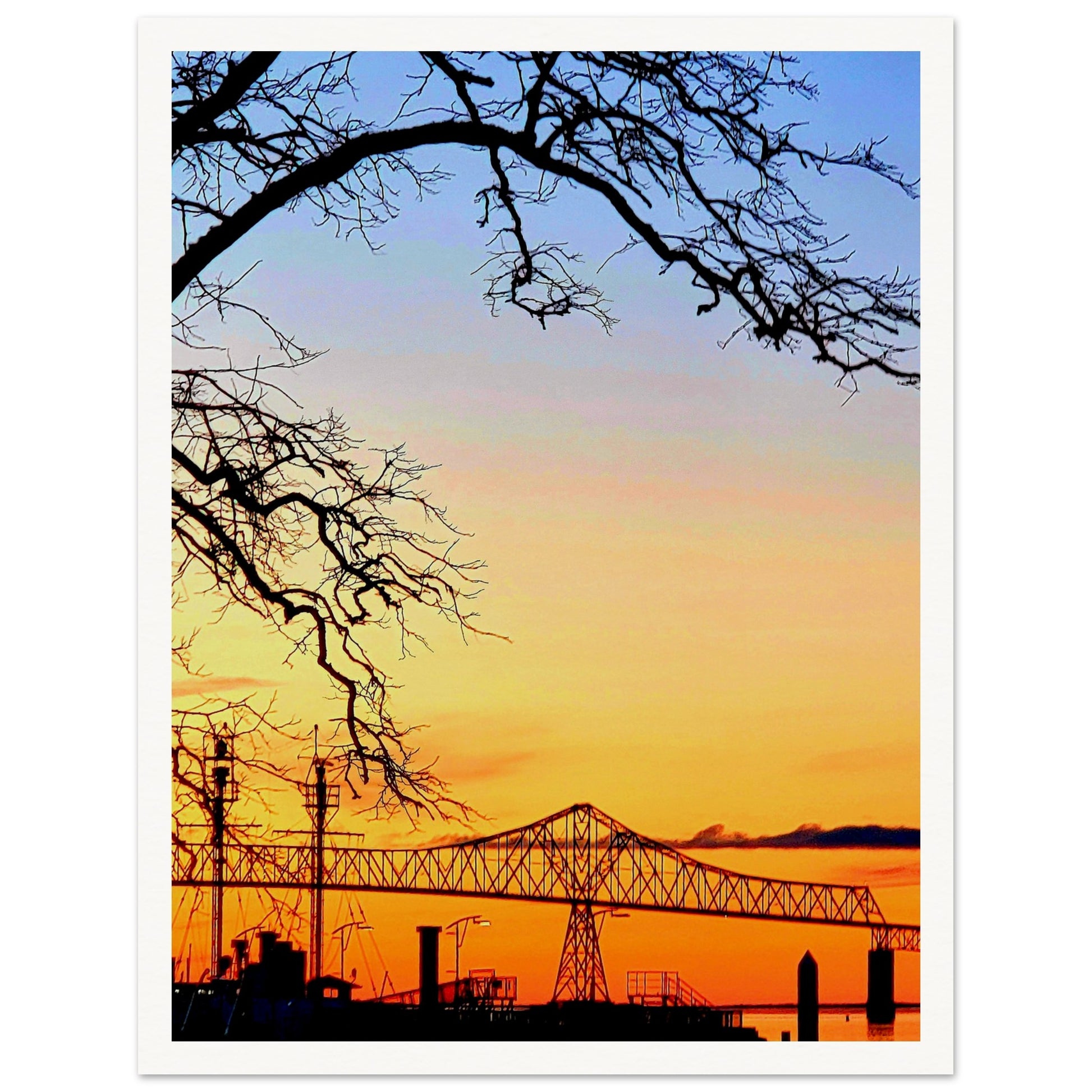 c8433035-835b-4199-ad53-b9165464814e