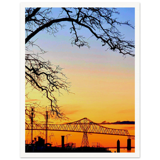 c8433035-835b-4199-ad53-b9165464814e