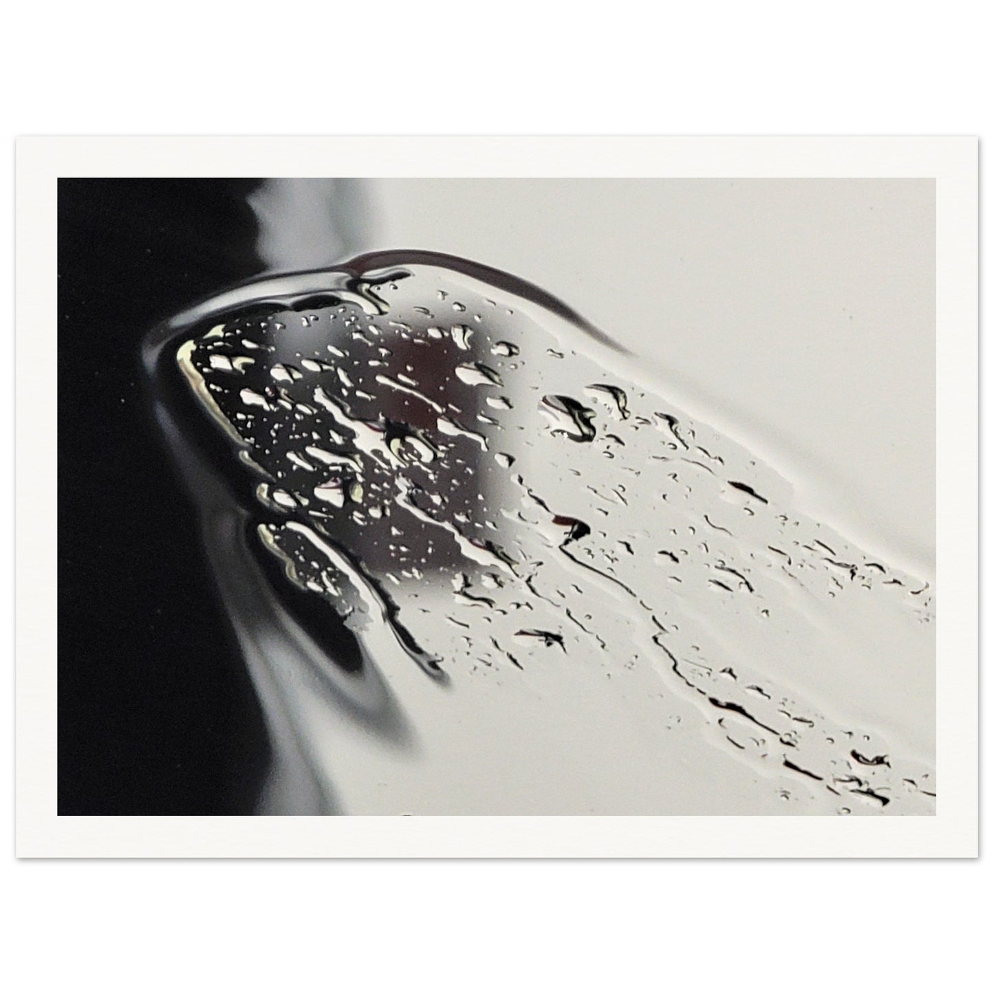 c9ea8062-e13d-4769-9a80-43739f5083a7