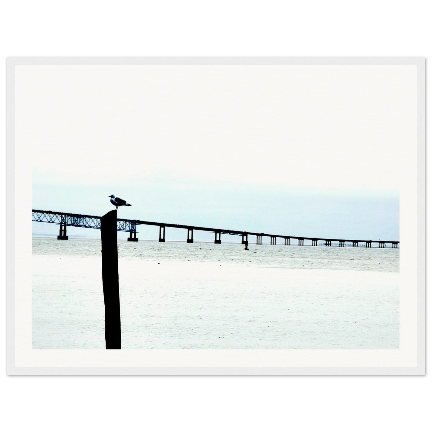 cbe9b91d-5fd2-4173-8d90-b5ad942f1a1f