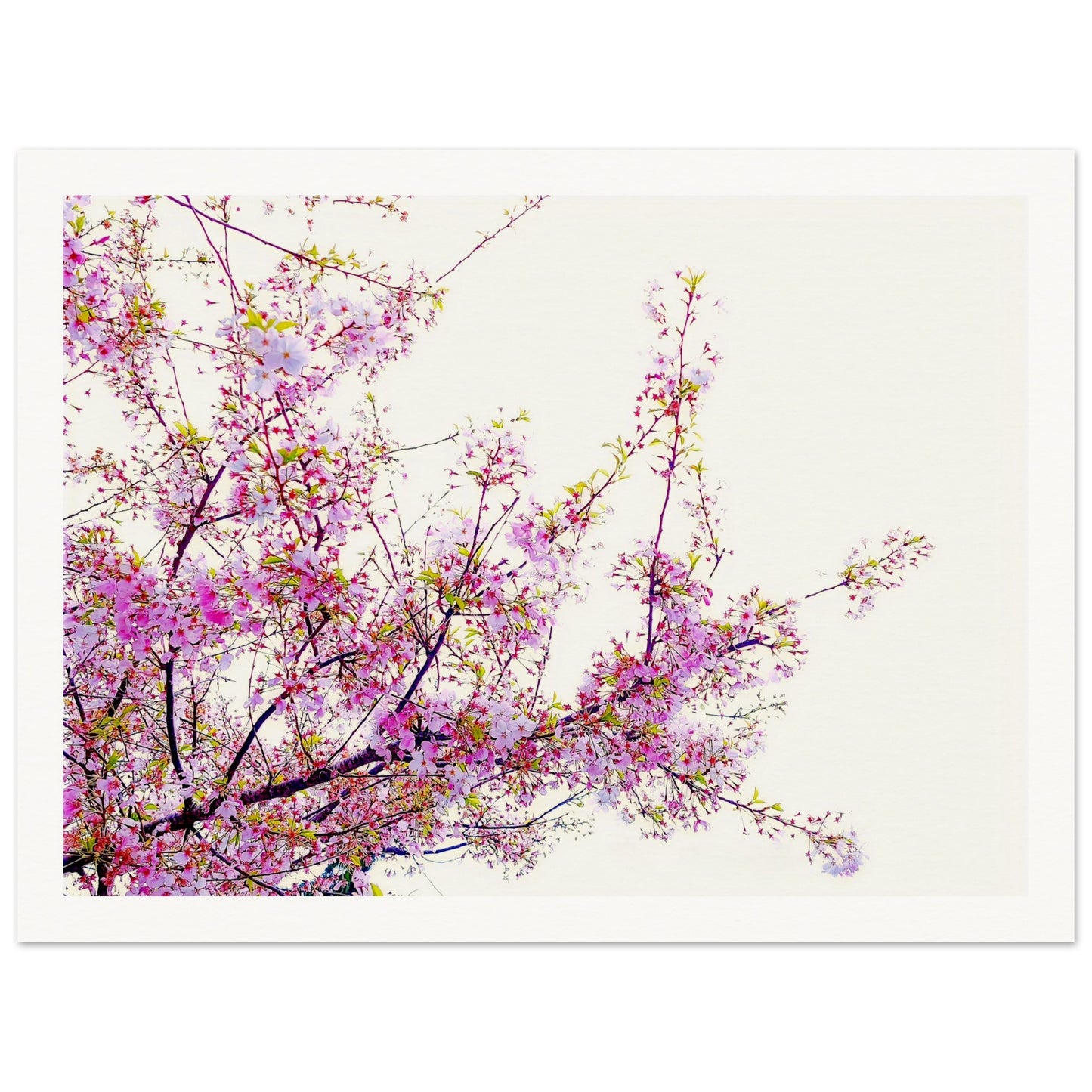 cf6dd664-9a52-4e51-b970-a71a072f0341