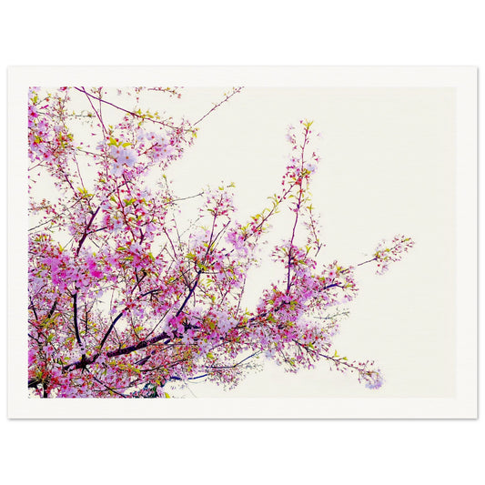 cf6dd664-9a52-4e51-b970-a71a072f0341