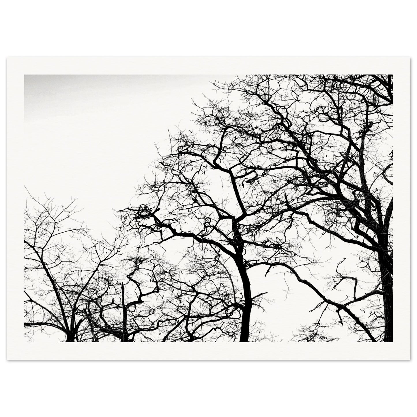 dc10f7d4-55b6-41c6-be8a-58ee51ee0d5c