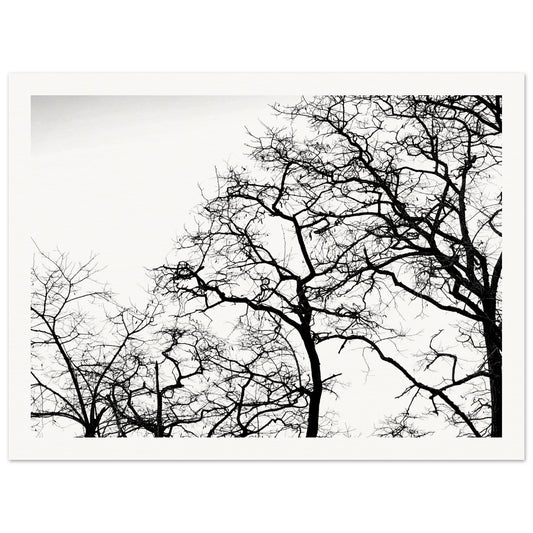 dc10f7d4-55b6-41c6-be8a-58ee51ee0d5c