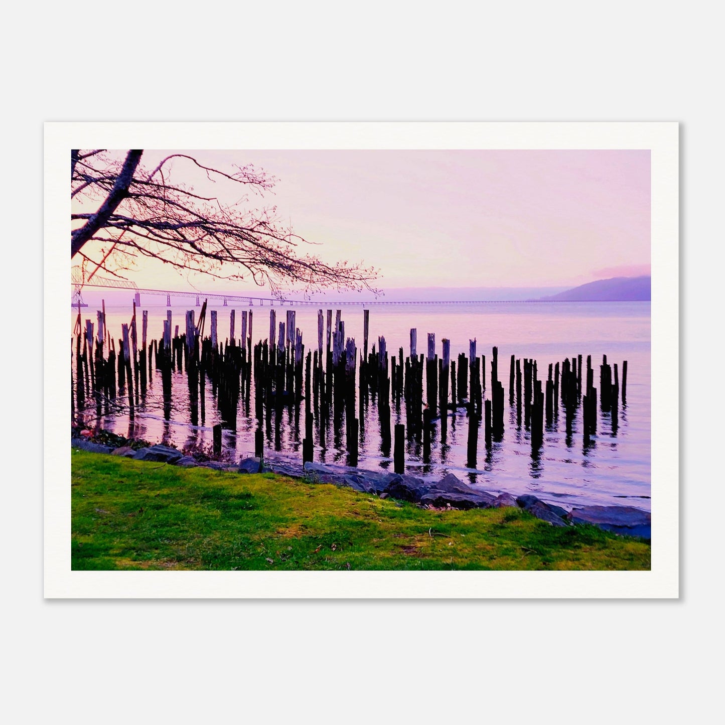 e73661e7-0faa-44d8-a41d-57fefe86938a