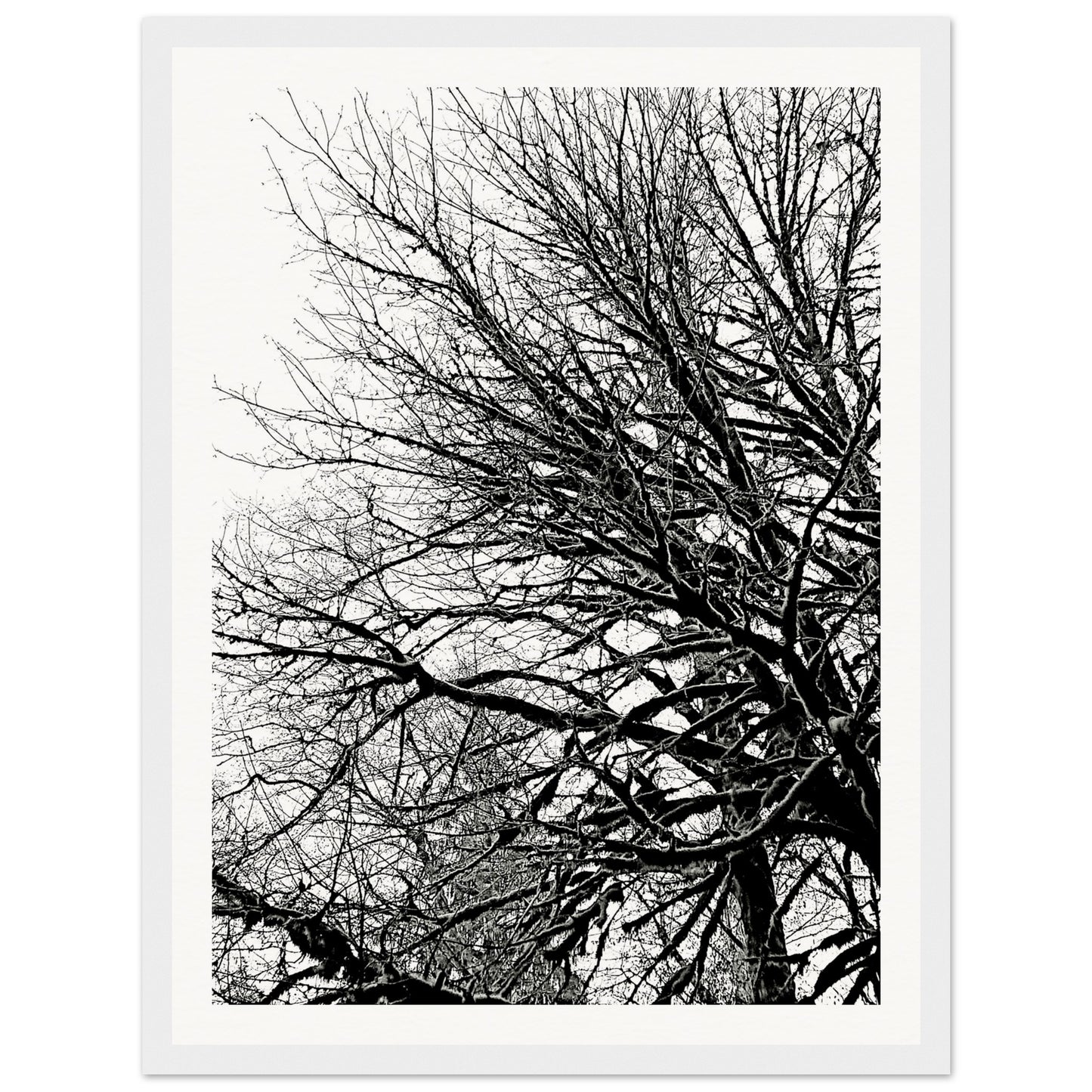 e9ff49a6-a065-42ac-8a89-403274205b7e