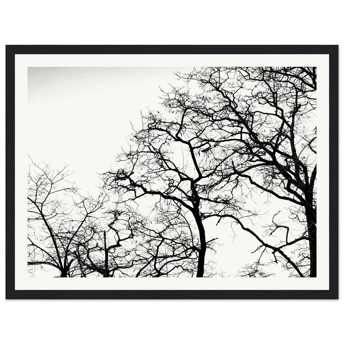 ece2a37d-e328-42a4-b1fe-6b2693f90da5