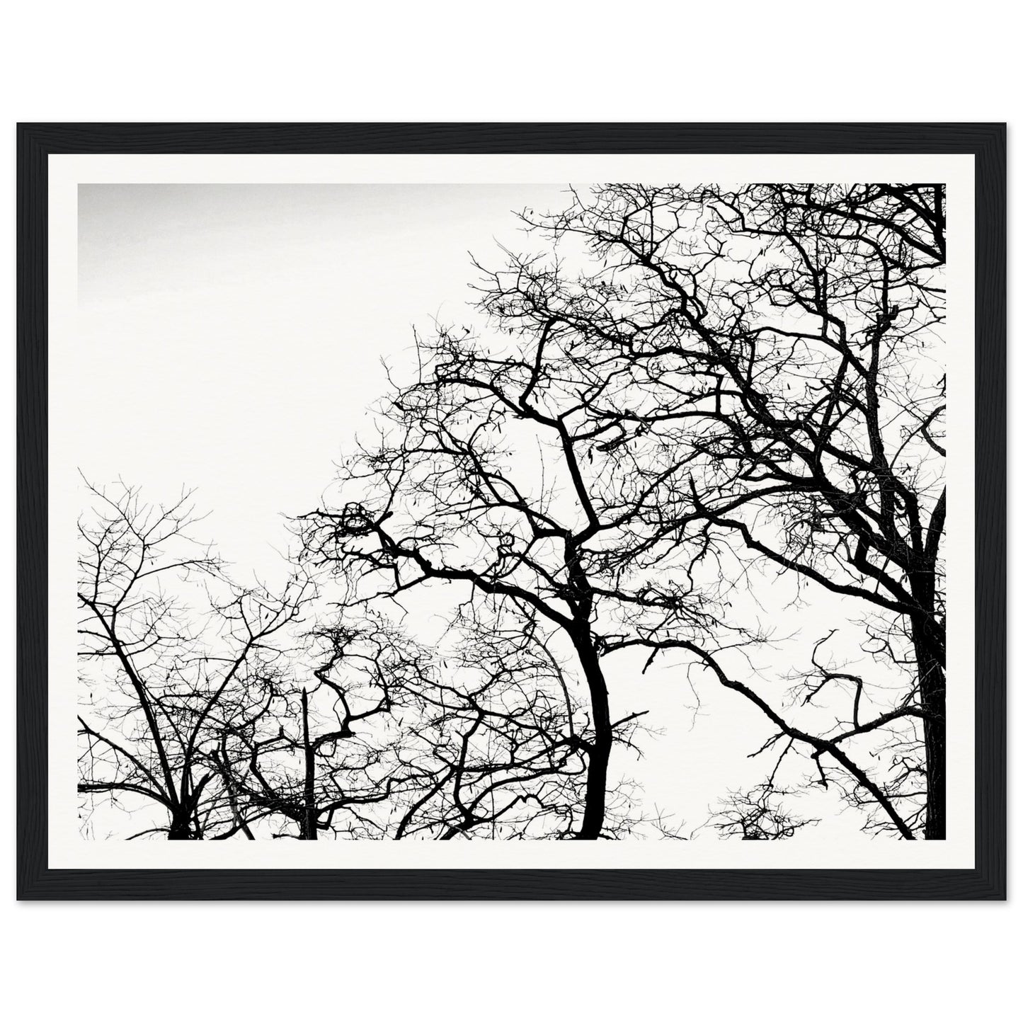 f1f62f17-cc08-495a-8d28-90797a157dc4