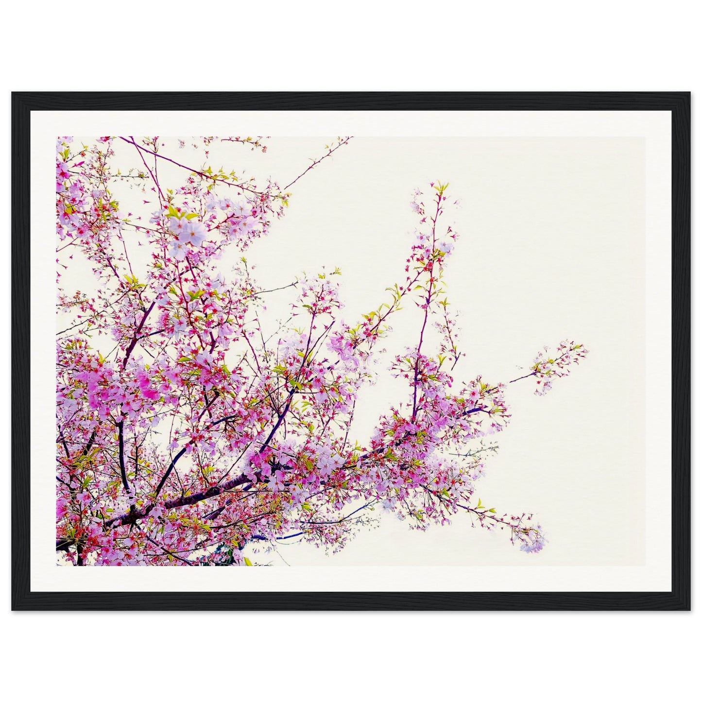 f90f7696-60a2-4401-a1a7-24600466139a