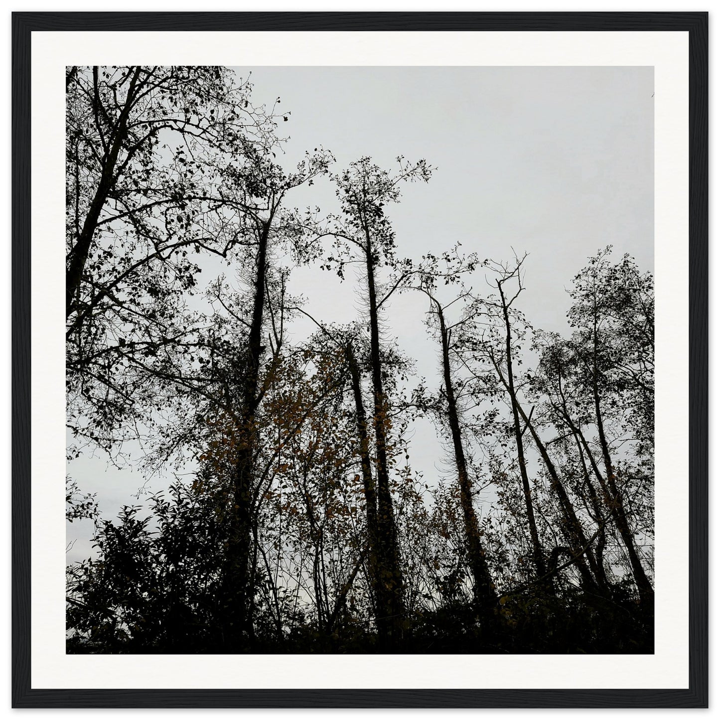 f9f21977-22ef-471d-88cc-c3eb24721c9f