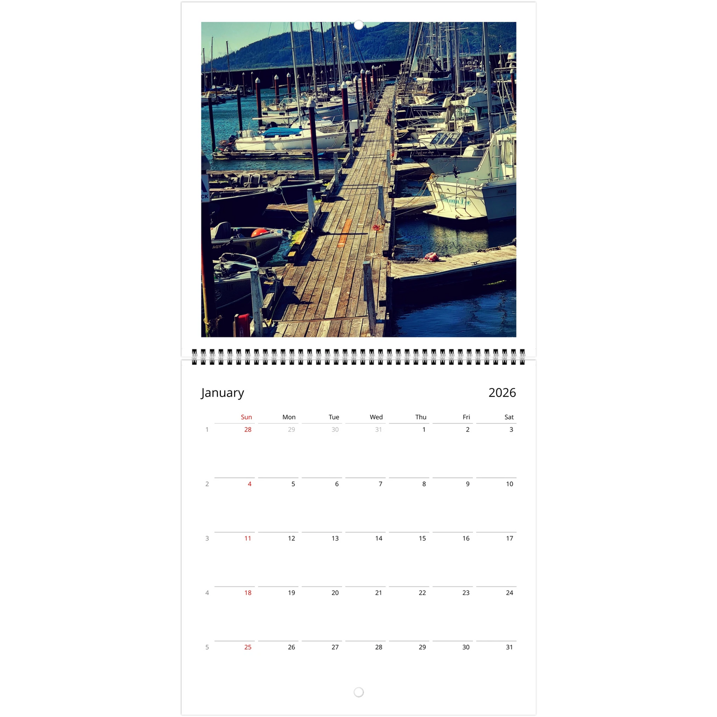 fab011a9-a3f5-455f-bde7-e1775b696ff5