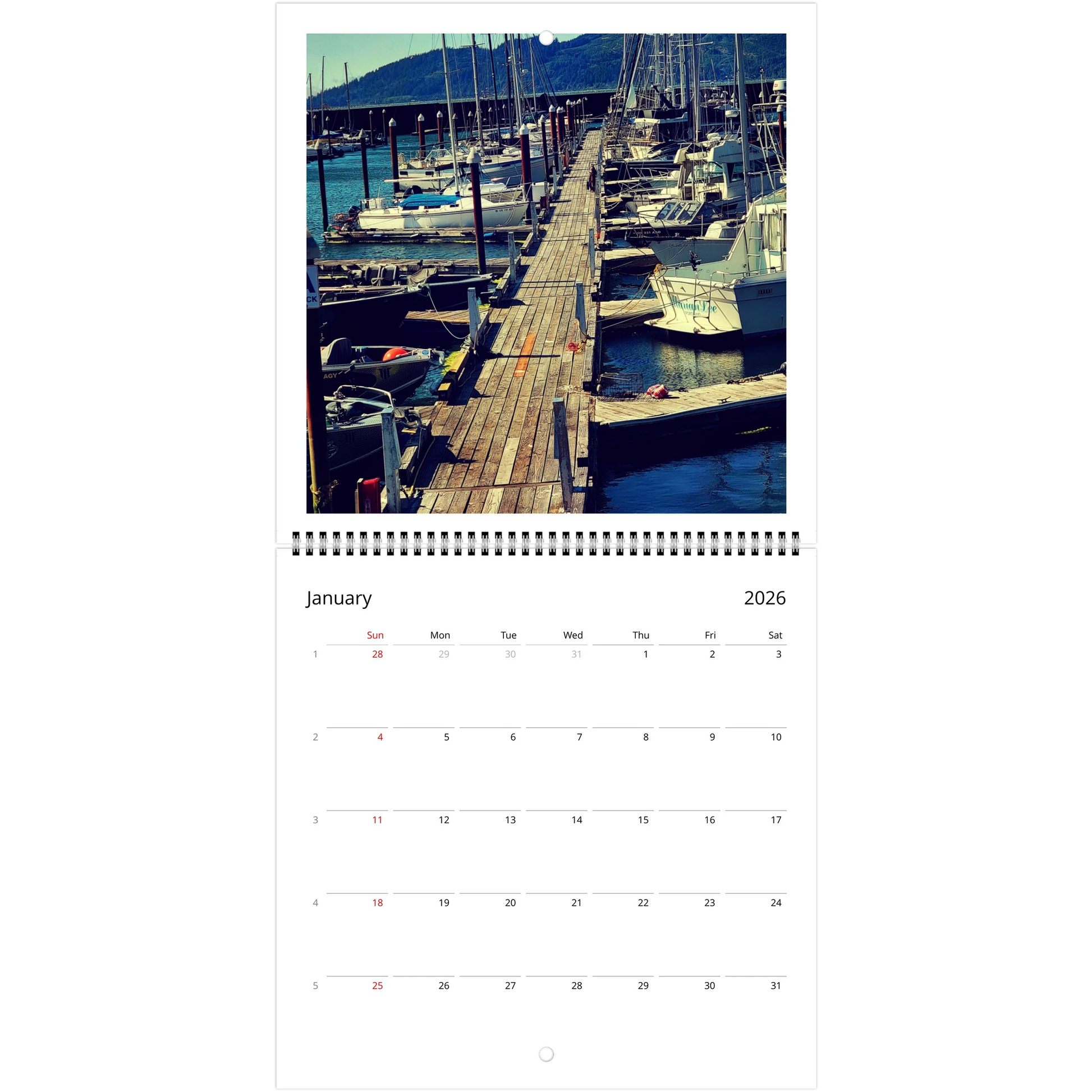 fab011a9-a3f5-455f-bde7-e1775b696ff5