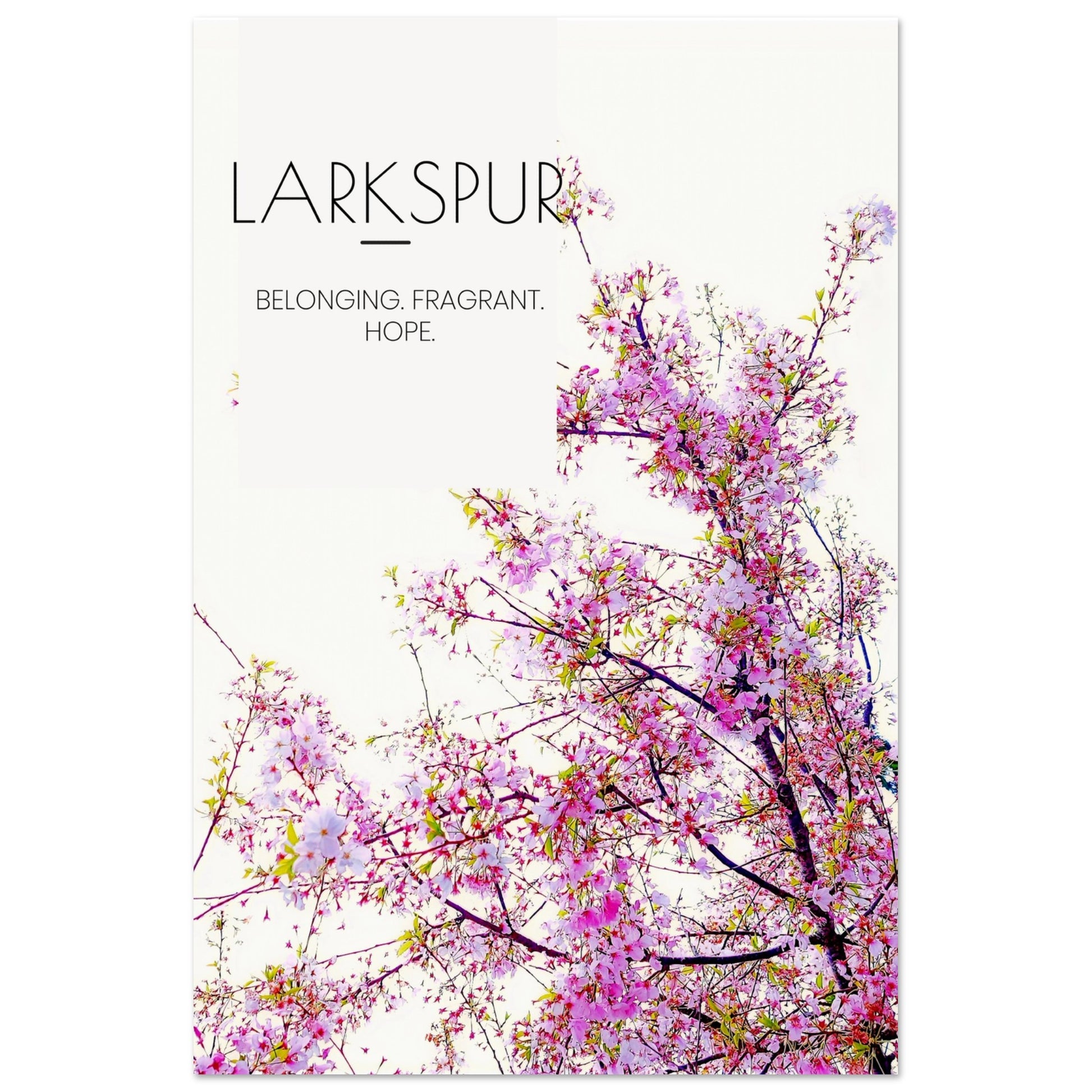 fdfe5268-7208-4152-8fa2-09897916f00f